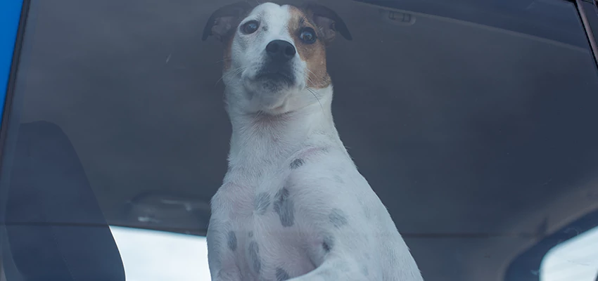 Car Lockout Solutions in Healdsburg, California